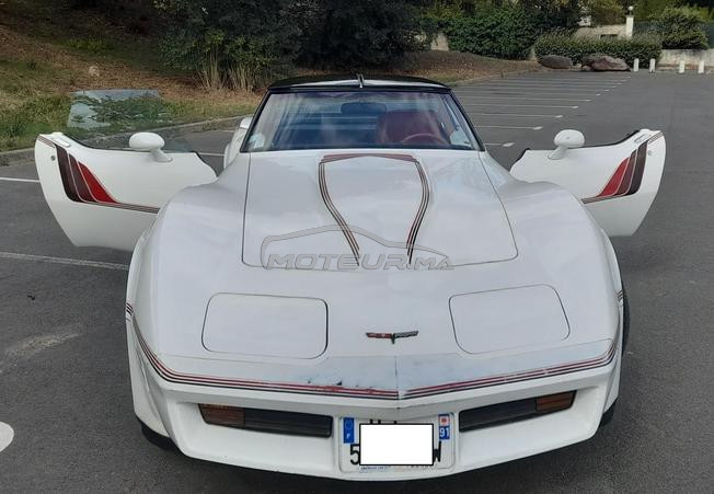 SUPERBE CHEVROLET Corvette C3 1981 - UNE SURVIVOR
