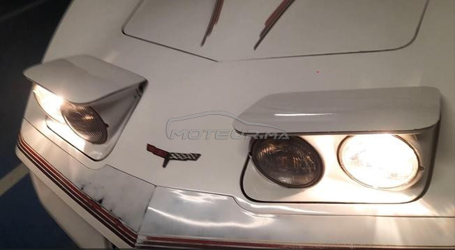 SUPERBE CHEVROLET Corvette C3 1981 - UNE SURVIVOR