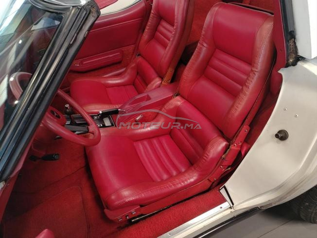 SUPERBE CHEVROLET Corvette C3 1981 - UNE SURVIVOR