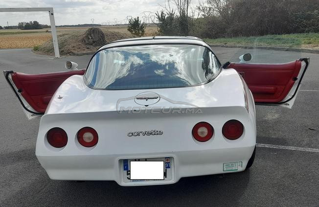 SUPERBE CHEVROLET Corvette C3 1981 - UNE SURVIVOR