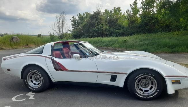 SUPERBE CHEVROLET Corvette C3 1981 - UNE SURVIVOR
