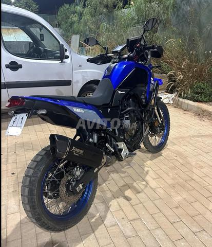 تينيري 700 2024 مستورد جديد - 2
