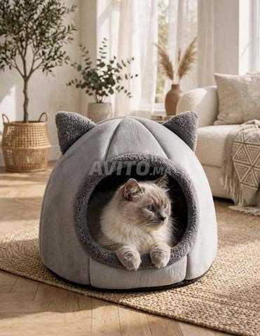 Maison chat douce 33cm comme neuve - Fès