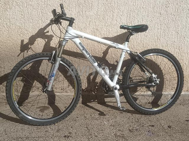 VTT type italien Carpentari à vendre - 2