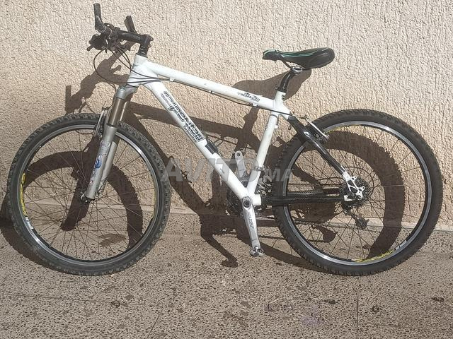 VTT type italien Carpentari à vendre