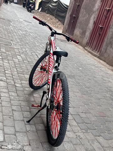 Vélo Specialized 29