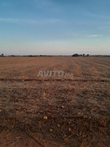 0623465153 - 2