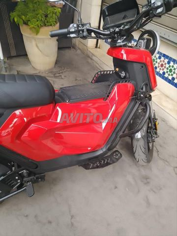 Touring Cooper Pro neuve - 2