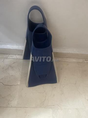 palme oalian