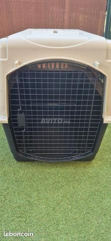 Cage de transport pour animaux - 2