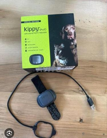 GPS pour les chiens et chats - 2