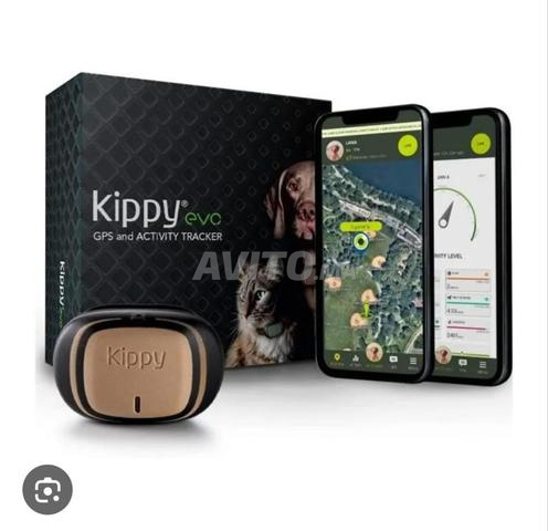 GPS pour les chiens et chats