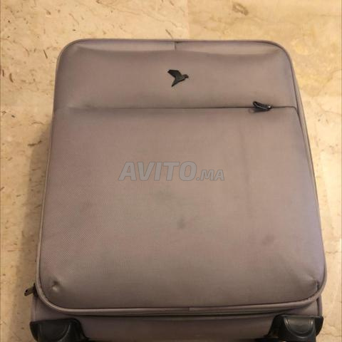 Valise Swiss Travel - 2