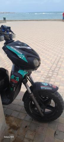 Stunt bon état