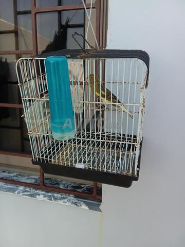 Bernoussi Casa - 2
