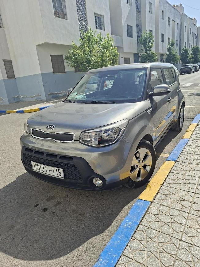 التوحيد قرب مشوار الزوجة الثانية