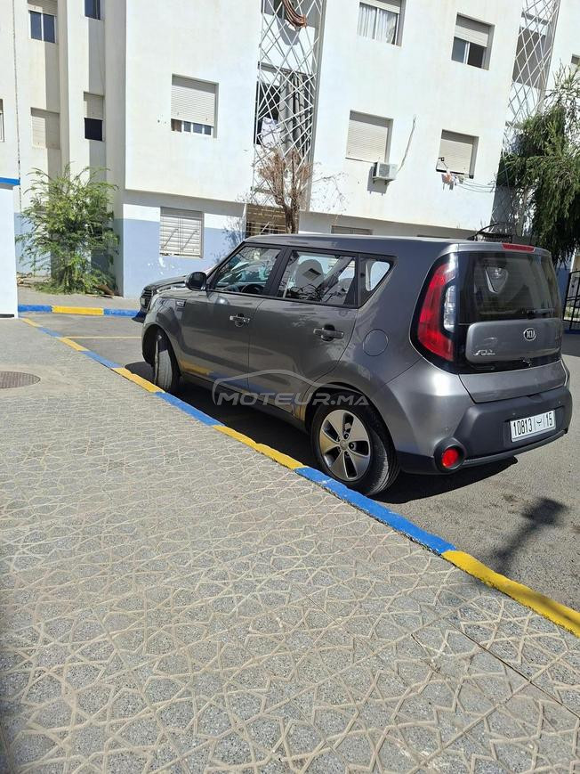 التوحيد قرب مشوار الزوجة الثانية