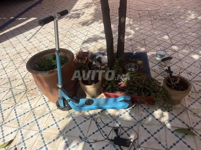 سكوتر كهربائي للأطفال
