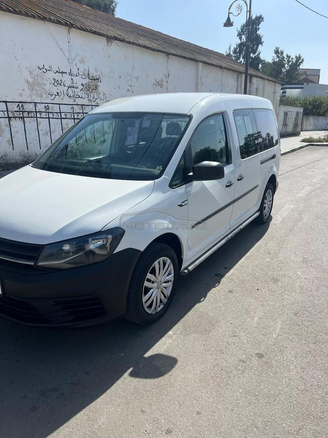 Caddy maxi 