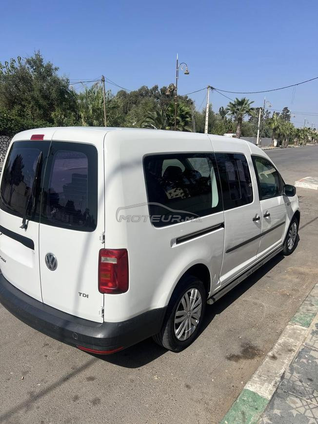 Caddy maxi 