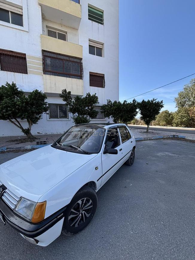 Peugeot 205 essence modèle 1992 