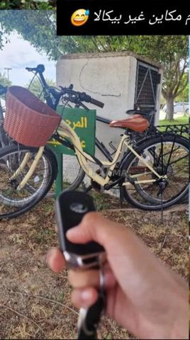 Vélo Alpina Bike - 2