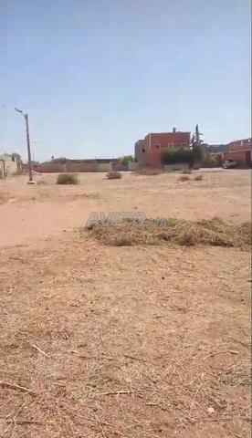 أرض بمساحة 2000 متر مربع - 2