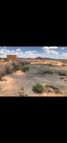 أرض 12958 م² بالقرب من مراكش – الأطلس - 2