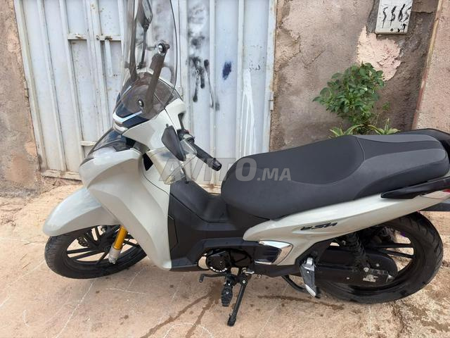 Moto