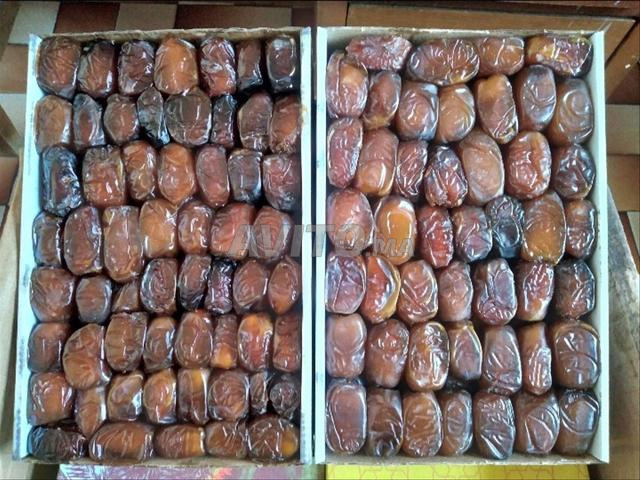 Dattes Bou Feggous du Maroc | Récolte Octobre 2026 🌴 🇲🇦 - 2