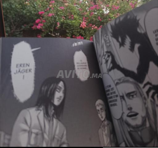 Attack on titan Vol 25 Fr - 2