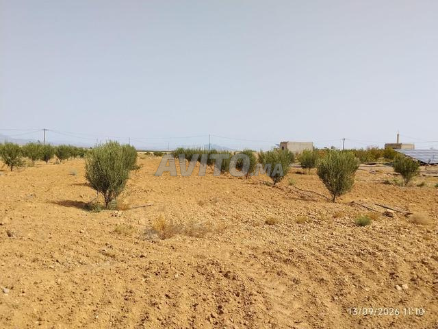 TERRAIN AGRICOLE ÉQUIPÉ 6 HECTARES À VENDRE - 2