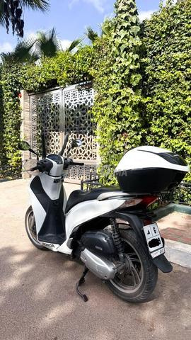 هوندا SH 150 سي سي تسجيل سابق - 2