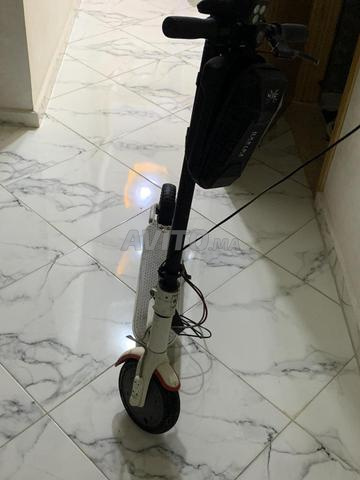 سكوتر كهربائي