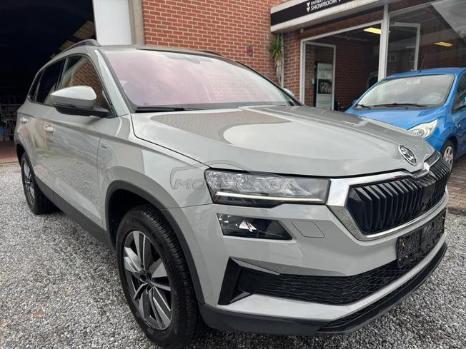 skoda karok