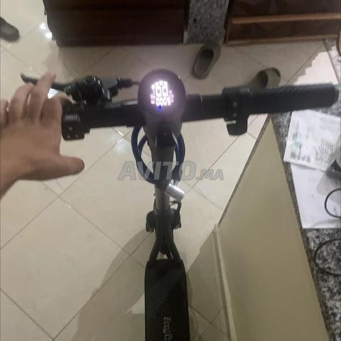 سكوتر كهربائي Ecoxtrem Linear - 2