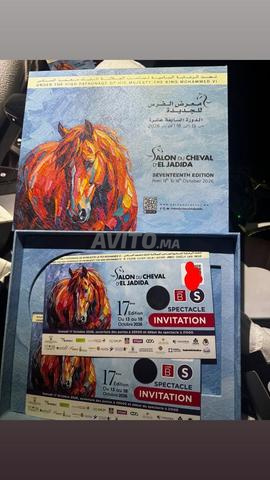 Salon du Cheval El Jadida - 2