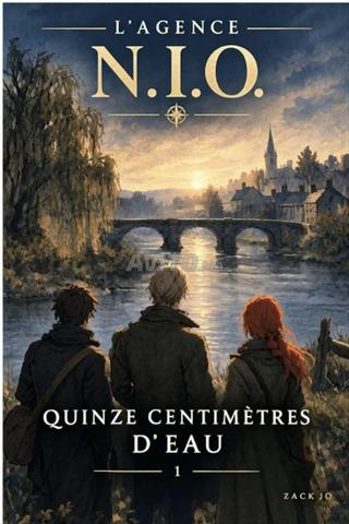 Ebook roman policier quinze centimètres d'eau
