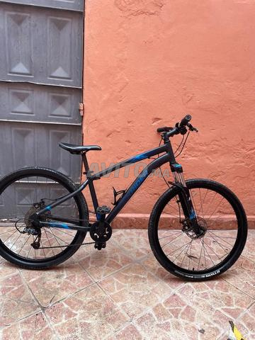 Vélo modèle Bitwin - 2
