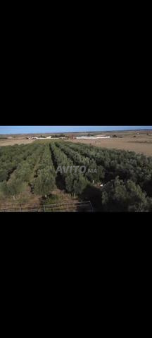 A Vendre ferme agricole moderne de 29 hectares - 2