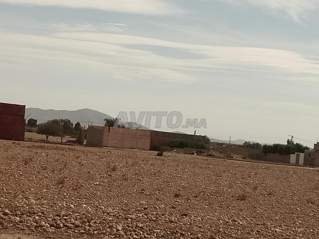 Terrain de 665 m² à 120 dhs/m - 2