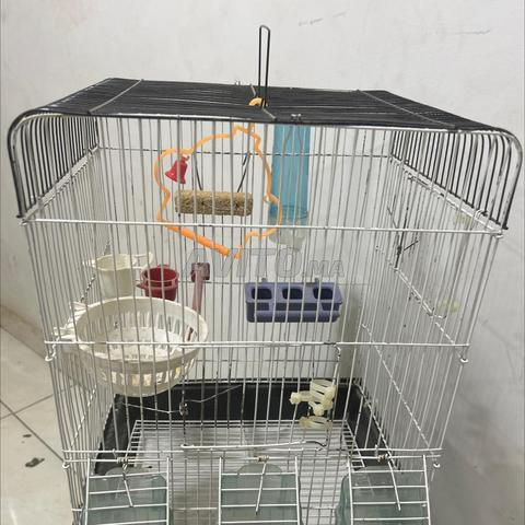 Cage pour oiseaux - 2