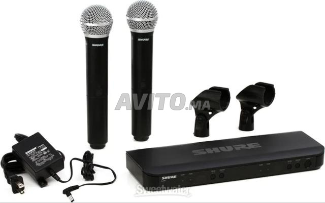 SHURE BLX288/SM58 - 2