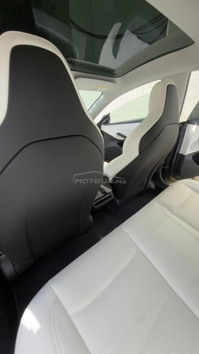 Tesla Model 3 performance 