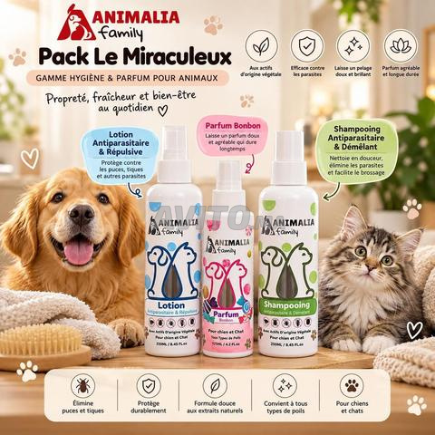 Pack 3 en 1 Le Miraculeux ANIMALIA Family - 2
