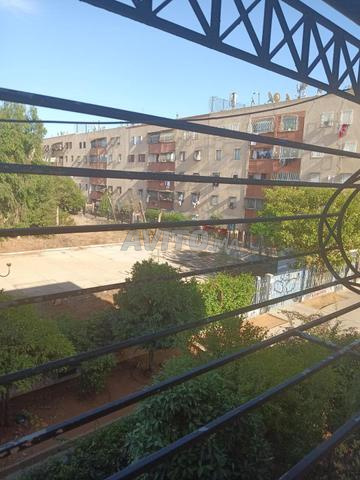Appartement meublé 63m à louer