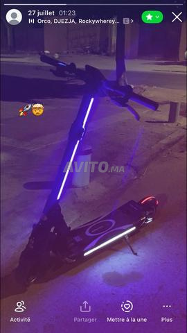 دلترون بوب