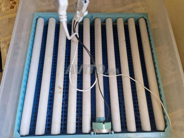 Biougra Agadir - 2