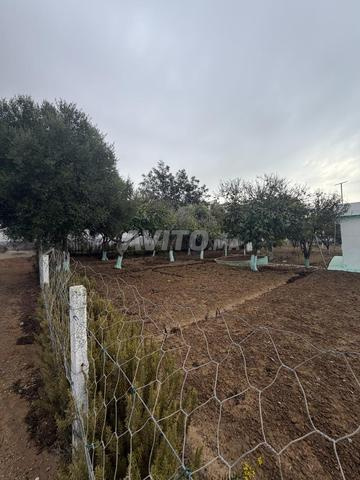 Terrain pour villas Tanger - 2
