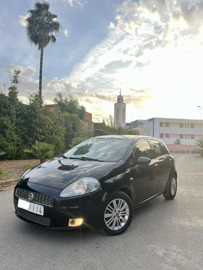 fiat punto